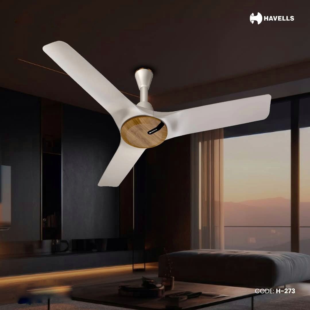 FB_IMG_1738432576534