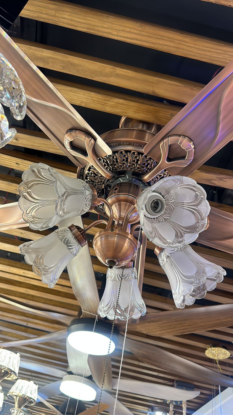 IMG-20240121-WA0001(1)